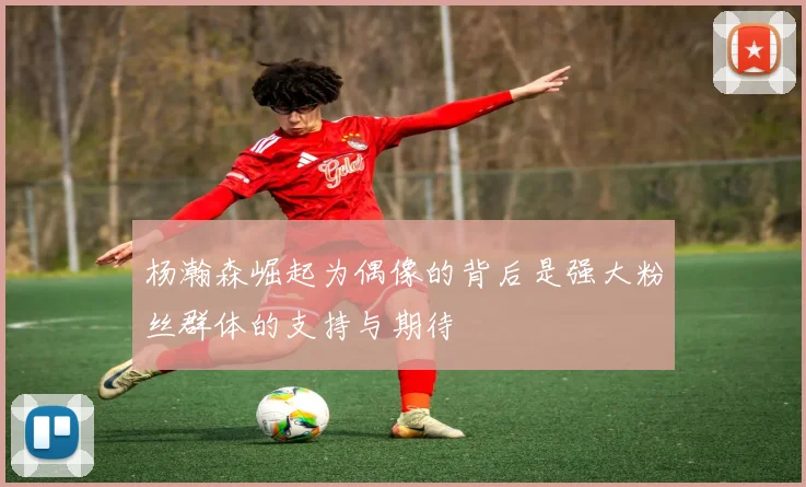 杨瀚森崛起为偶像的背后是强大粉丝群体的支持与期待