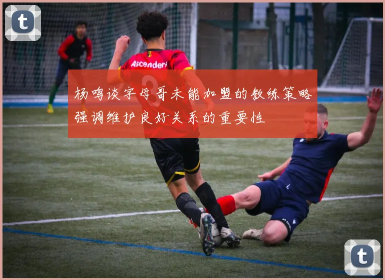 杨鸣谈字母哥未能加盟的教练策略强调维护良好关系的重要性