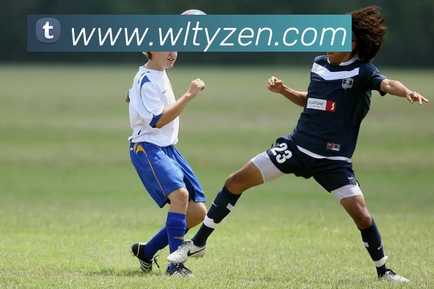 App Interface Preview