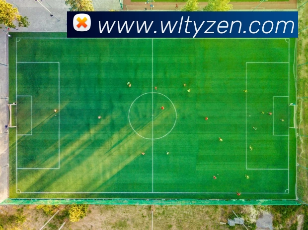 纬来体育APP 封面图